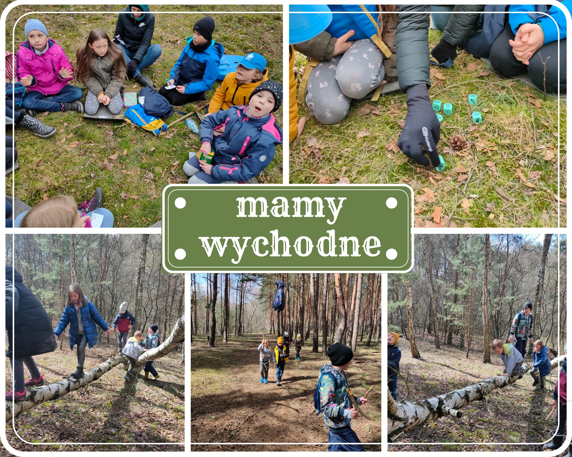 Projekt ” Mamy wychodne”